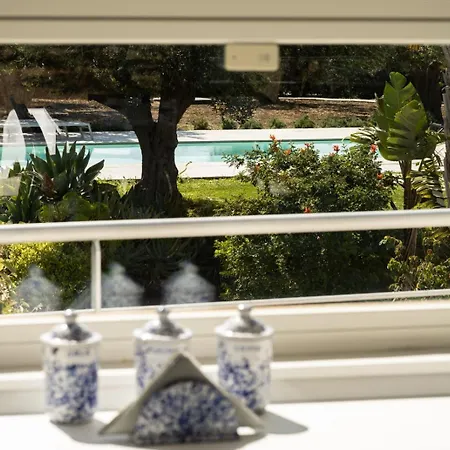 Virginia - Relax And Private Pool *