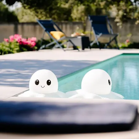 Virginia - Relax And Private Pool * Paceco