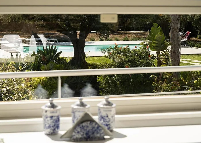 Virginia - Relax And Private Pool *